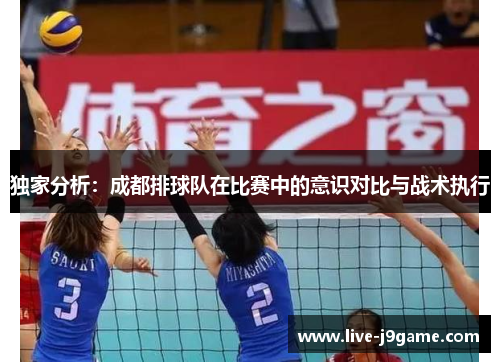 独家分析：成都排球队在比赛中的意识对比与战术执行