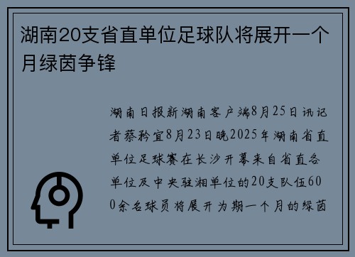 湖南20支省直单位足球队将展开一个月绿茵争锋